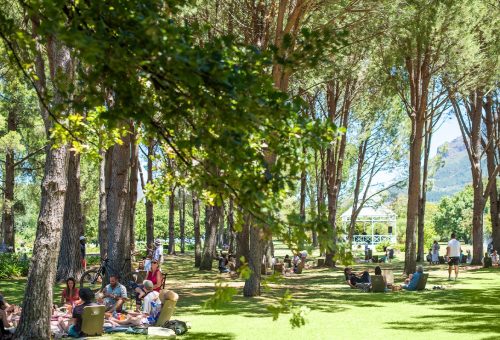 Page-slider-images-1088×784-werf-picnics-1